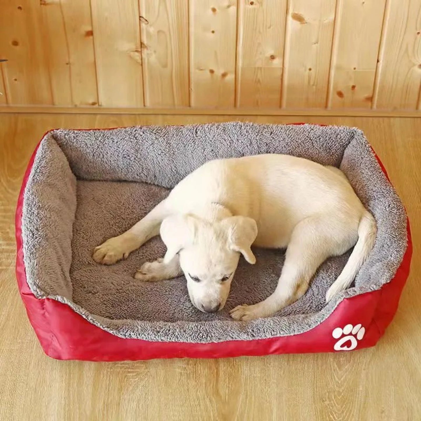 Dog Bed - Buisty | Pet and Home Essentials