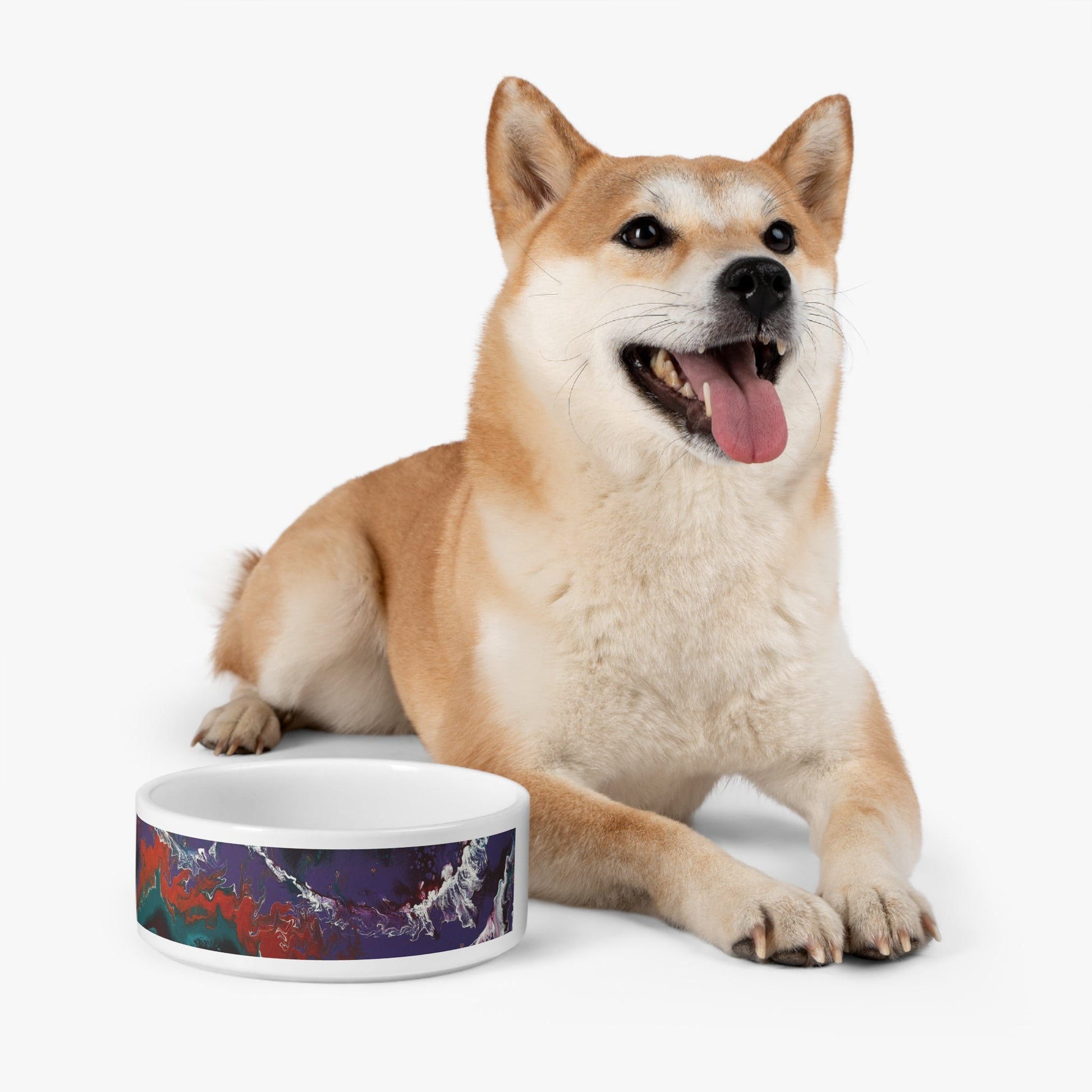 Art Designed Pet Bowl - Buisty