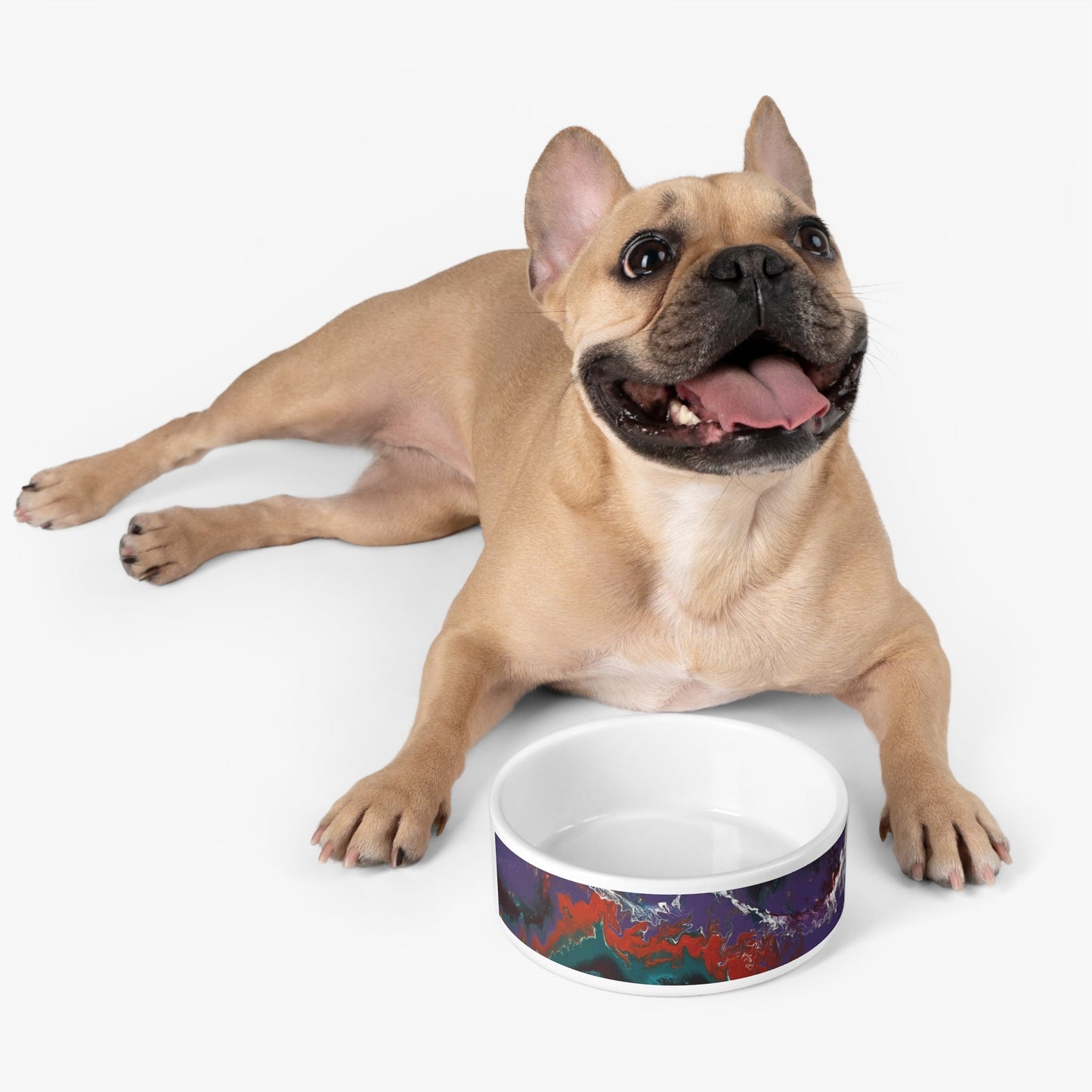 Art Designed Pet Bowl - Buisty